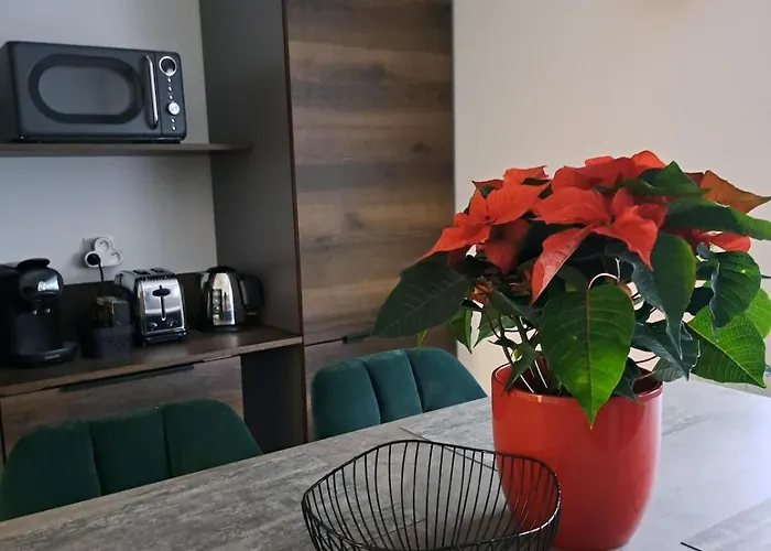 Cosy Centre Avec Parking * Colmar