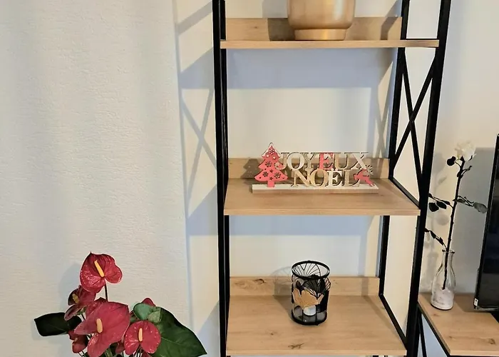 Cosy Centre Avec Parking Colmar